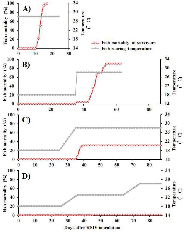 Effect of increasing water temperature on mortality of fish in the early stage of red seabream iridovirus (RSIV) infection. Fish were inoculated with 100 ul of the RSIV stock solution diluted 103-fold with L-15 medium, and reared at 18℃.