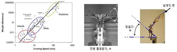 플래핑 운동의 비행 형태와 구동 메카니즘