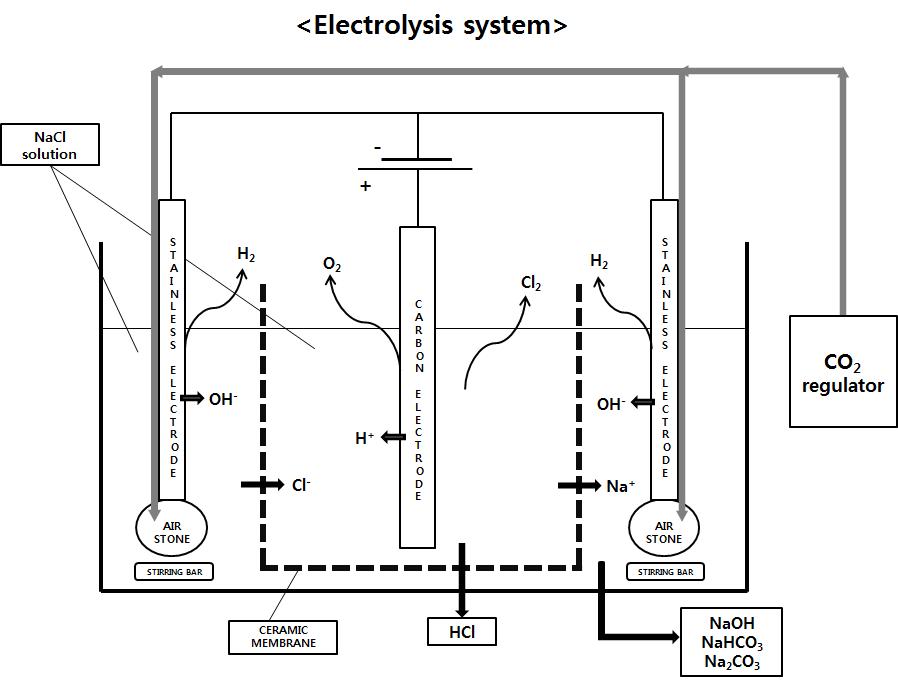 Schematic of electrolysis system