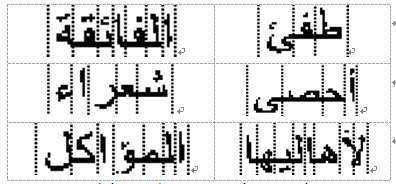 Segmentation Results