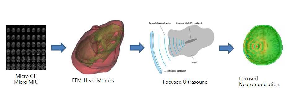 소동물(쥐)의 유한요소(Finite Element) 뇌모델의 생성 방법 및 유한요소 뇌모댈을 이용한 고집중 초음파 신경조율 기전의 시뮬레이션 기술 개발 모식도