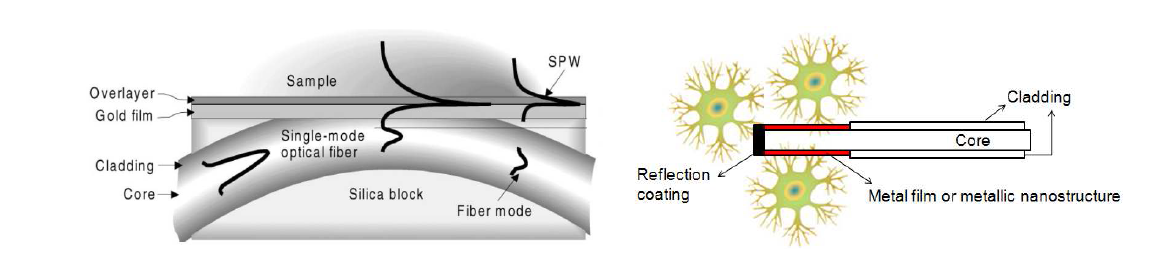 (좌)기존의 광섬유 기반 SPR 센서 시스템 (우)본 과제에서 제작한 in vivo 측정 시스템 구조