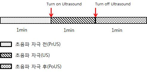 실험 순서도