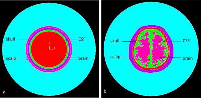 머리 모델 (a) circular (b) realistic