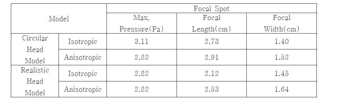 skull의 특성을 반영한 circular과 realistic 머리 모델에서의 focal spot의 정량적 분석