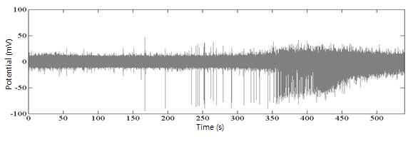 MEA에서 측정된 신경 스파이크의 Raw Data