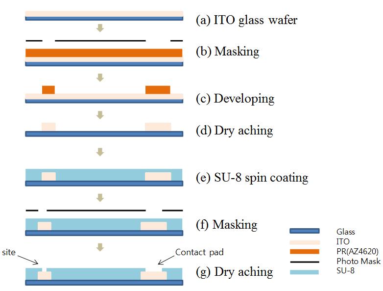 ITO와 SU-8을 이용한 투명 MEA제작 공정