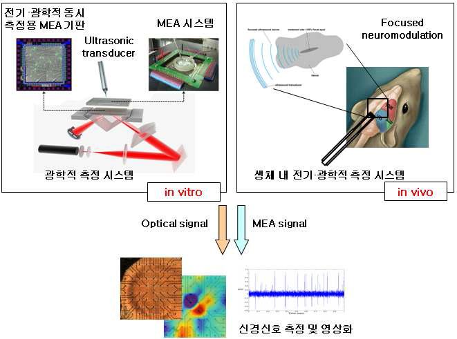 본 연구의 전체적인 개념도