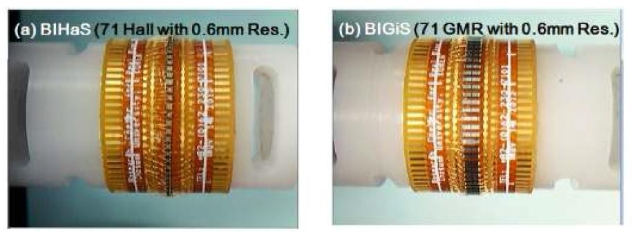 보빈형 자기벡터카메라를 위한 BIHaS(a) 및 BIGiS(b)