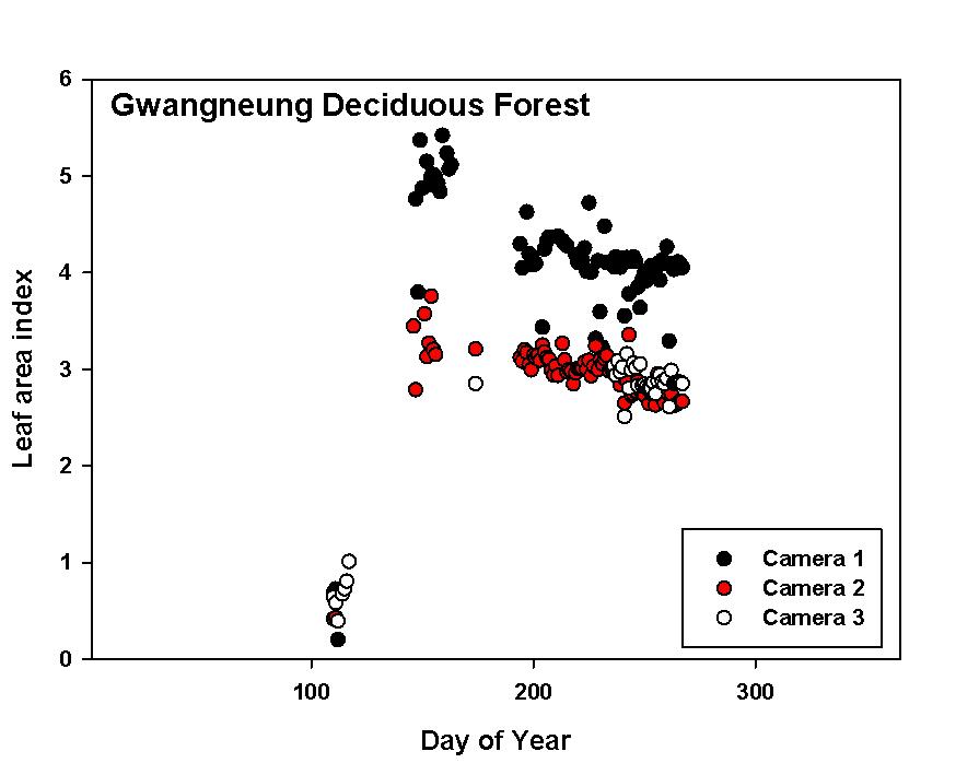 세대의 카메라에서 관측된 광릉 활엽수림 엽면적 계절 변화