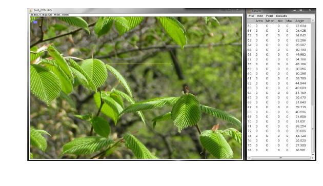 ImageJ를 통한 각도 계산