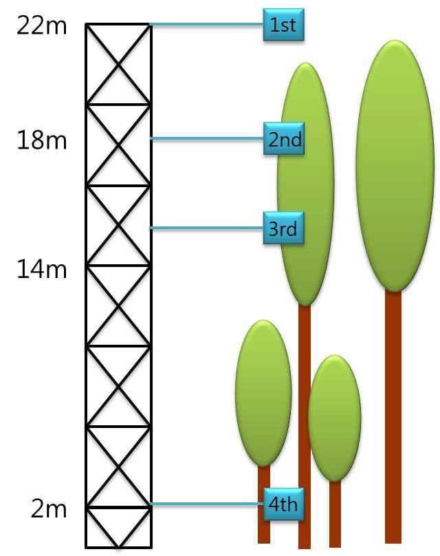 Experimental design at Gwangneung Deciduous Forest