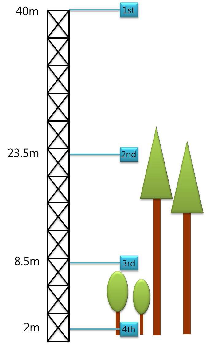 Experimental design at Gwangneung Coniferous Forest