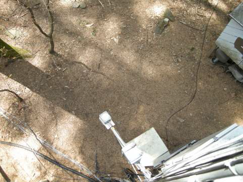 광릉 침엽수림 2m에 설치된 LED 센서