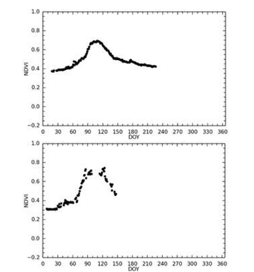 Tonzi 사이트의 Daily NDVI 2013년(위) 과 2014(아래)