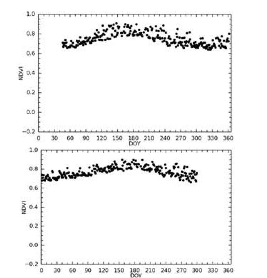 Kopuatai 사이트의 Daily NDVI 2013년(위) 과 2014(아래)
