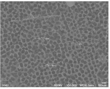 Figure 5. SEM image - CuO/AAO Dx2 catalyst Direct calcination