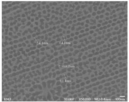 Figure 6. SEM image - CuO/AAO Dx4 catalyst Direct calcination