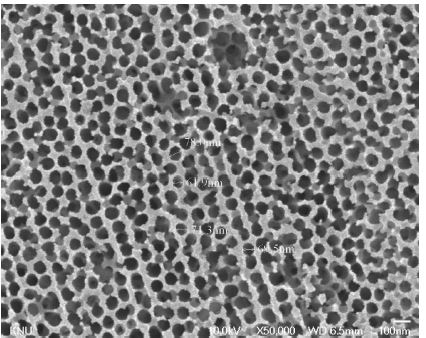 Figure 7. SEM image - CuO/AAO Dx6 catalyst Direct calcination