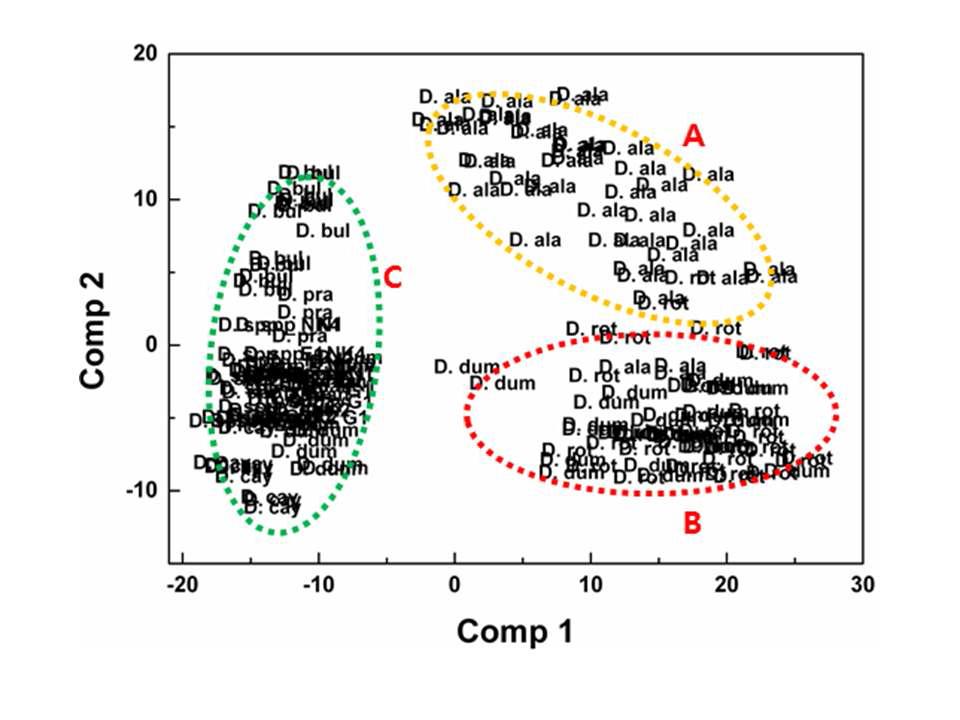 PLS-DA score plot of FT-IR data from African yam lines. Dotted eclipses and capitals represent the clustering boundary of yam tuber samples with high (B), medium (C) and low (A) contents of total phenolic compound and flavonoids. Abbreviations in the PLS-DA score plots represent each each African yam samlpes. D.ata: Dioscorea alata; D.bul: Dioscorea bulbifera; D.cay: Dioscorea cayenesis; D.dum: Dioscorea dumetorum; D.man: Dioscorea mangenotiana; D.pra: Dioscorea prahensilis; D .rot: Dioscorea rotundata; D.spp: Dioscorea spp. Kenyan.