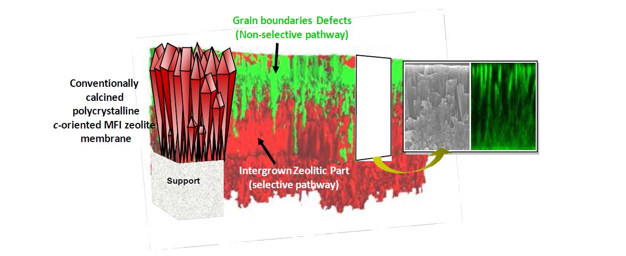 Fluorescence Confocal Optical Microscopy (FCOM)를 이용하여 얻은 3차원 이미지의 정량 분석을 통해 재연된 제오라이트 분리막의 구조 및 FCOM 단면 이미지와 주사전자현미경 (scanning electron microscopy)의 단면 이미지: 적색은 제오라이트 부분을 녹색은 결함 (defect)을 표시한다