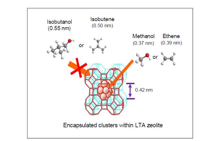 LTA 타입의 제오라이트 내에 위치하는 금속 cluster: 크기가 LTA의 공극 크기 (0.42 nm)보다 작은 methanol이나 ethene은 제오라이트 안으로 들어가 반응을 할 수 있지만, isobutanol이나 isobutene은 그 크기가 공극의 크기보다 커 LTA내에 있는 촉매와 접촉할 수 없어 반응이 진행되지 않는다 (Wu and Iglesia, unpublished data).