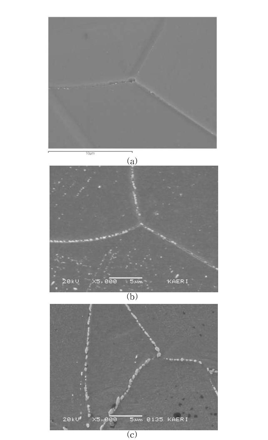 SEM images for lab. made alloy (a) after solution annealing, (b)solution annealing + intermediate heat treatment and (c) solution annealing + cold working + intermediate heat treatment.