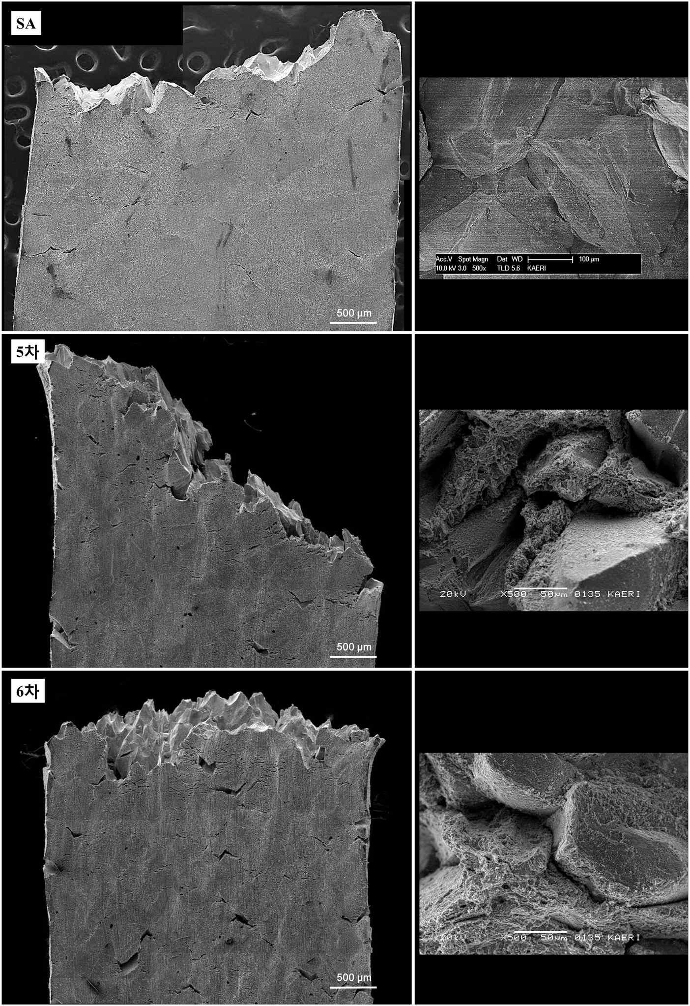 Fracture surface observed for a solution-annealedspecimen with a grain boundary strengthener after tension test at 950oC.