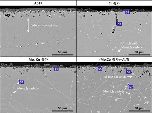 Back-scattered SEM micrograph of the specimen tested for 250 h at 950oC in air environment.