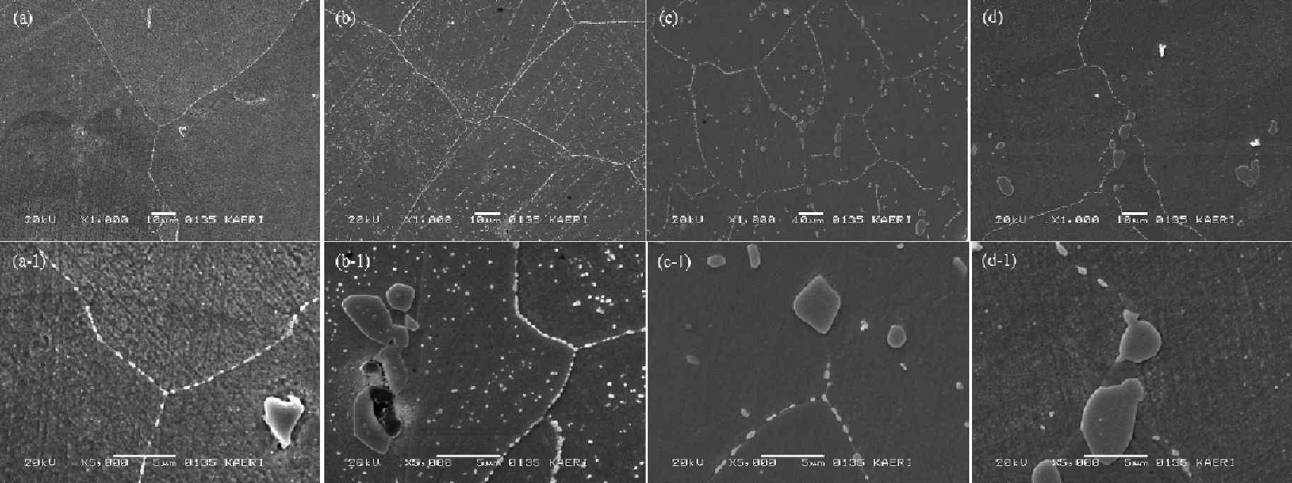 Microstructures of Ni-base Alloys heat treatment for 1 hr at 1110 C. (a) 10th Alloy, (b) 11th Alloy, (c) 12th Alloy, and (d) 13th Alloy.