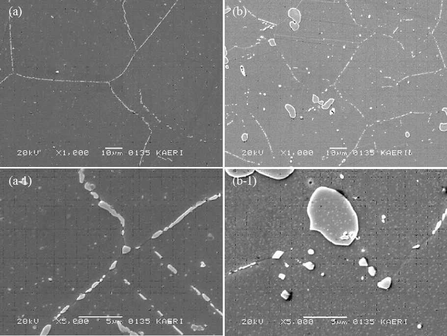 Microstructures of Ni-base Alloys after heat treatment for 1 hr at 1110oC. (a) 14th Alloy, and (b) 15th Alloy.