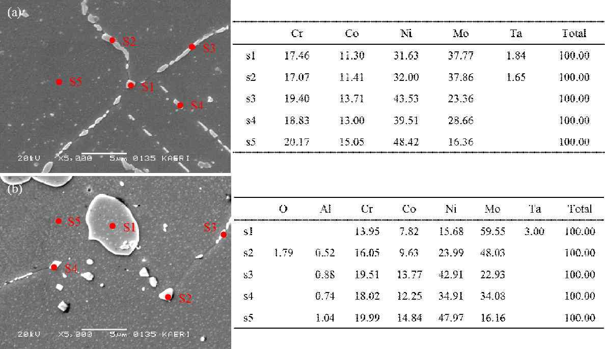 EDS images of Ni-base Alloys after heat treatment for 1 hr at 1110oC. (a) 14th Alloy, and (b) 15th Alloy.