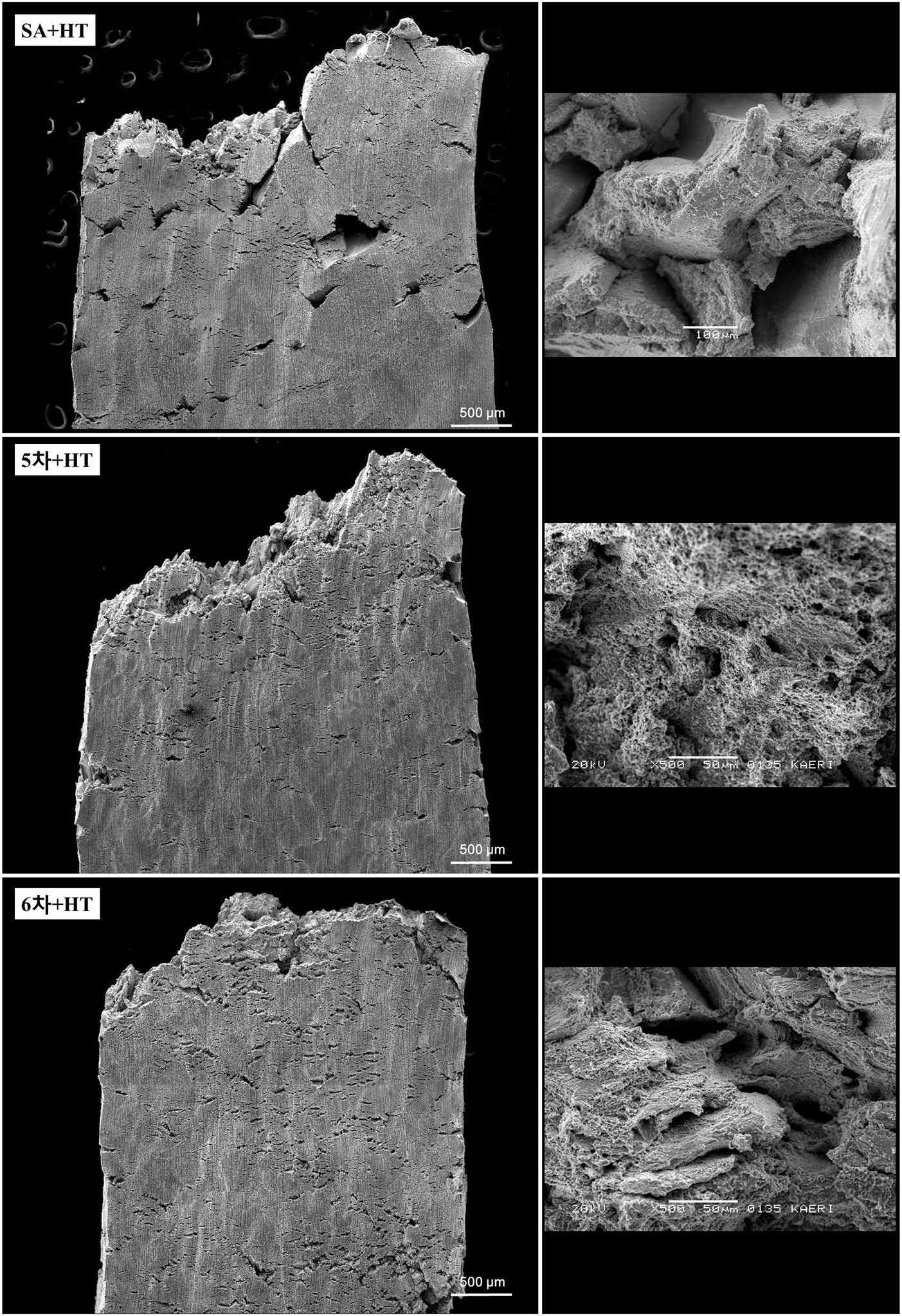 Fracture surface observed for a heat treated solution-annealed specimen with a grain boundary strengthener after tension test at 950oC.