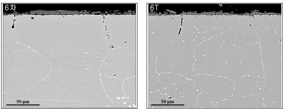 Back-scattered SEM micrograph of the 6th and 6T specimen tested for 250 h at 950oC in air environment.