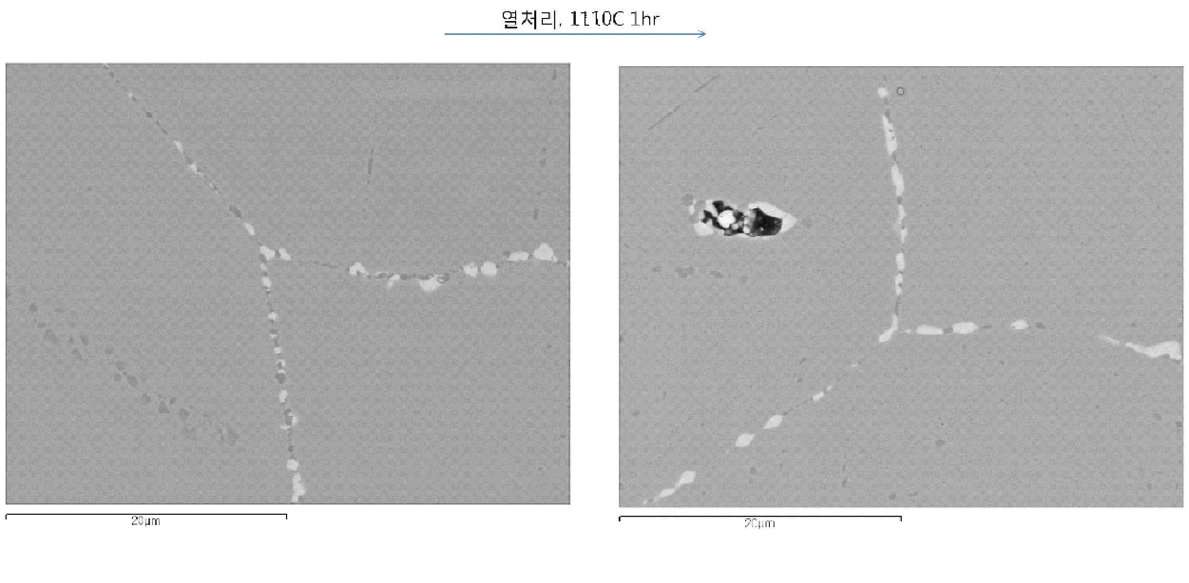 Discrete precipitate in grain boundary of 6th and 6T specimen corroded in air environment at 950oC.