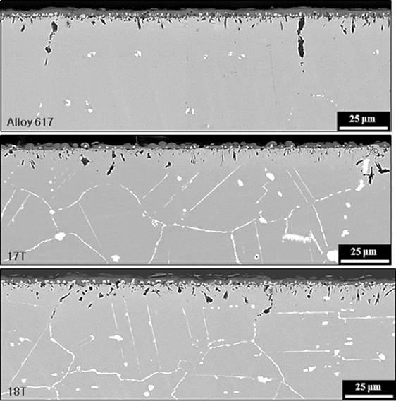 Back-scattered SEM micrograph of the corroded specimen tested for 250 h at 950oC in the impure helium environment. (a) Alloy 617, (b) 17T, and (c)18T.