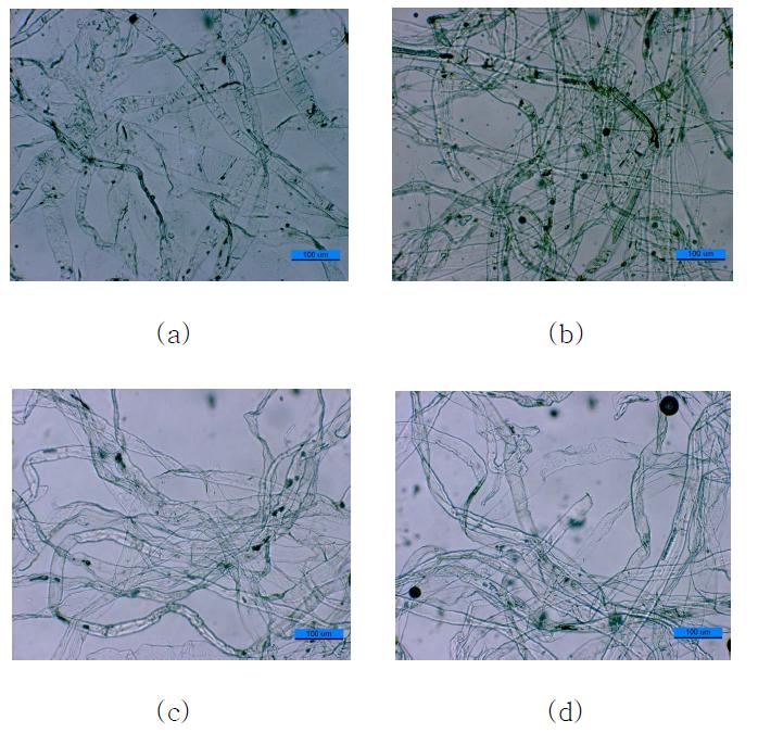 100oC에서 3시간 교반한 BKP의 광학현미경사진(배율: 10) (a) AC (b) BC (c) OC (d) Me