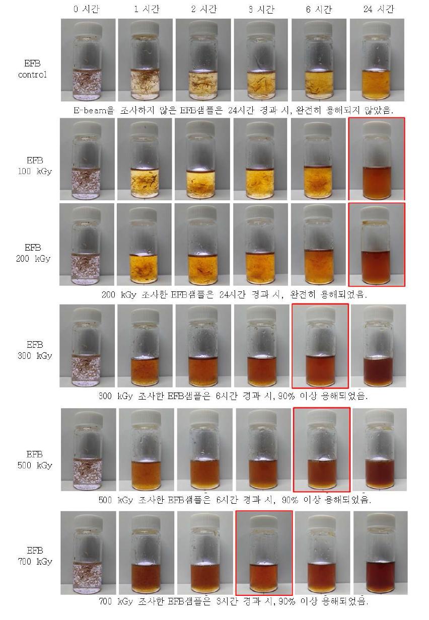 Me서 전자빔 처리에 따른 EFB용해 특성 이미지