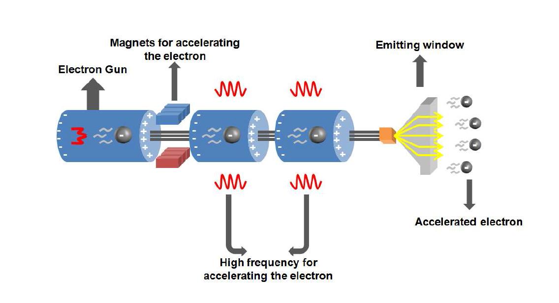 Schematic of electron beam irradiation facility[22].