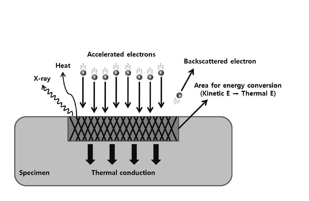 Possible electron beam interactions between the primary electrons and the material surfaces upon impingement of electron beam on specimen[20].