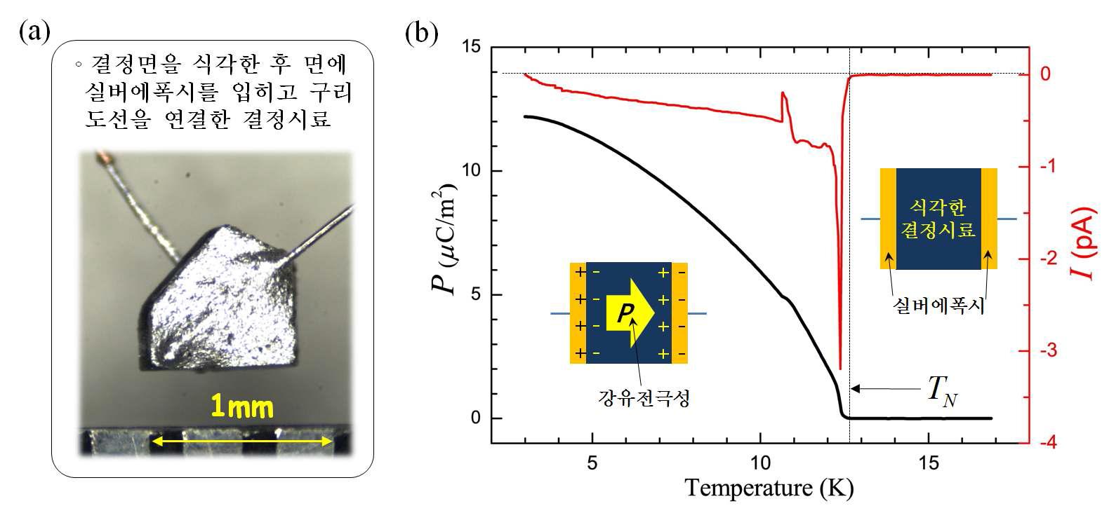 Co:10% 도핑의 경우, 결정의 b방향과 나란한 방향으로 식각한 후 실버에폭시를 입히고 구리도선을 연결한 결정시료. (b) 강유전극성(P)의 온도의존성을 얻기하기 위한 파이로전류(I [pA = 10-12 Ampere]) 측정 결과