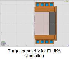 FLUKA 시뮬레이션 을 위한 타겟 구조