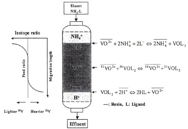 그림 3-16. 양이온 교환 크로마토그라피에 의한 바나듐 동위원소 분리