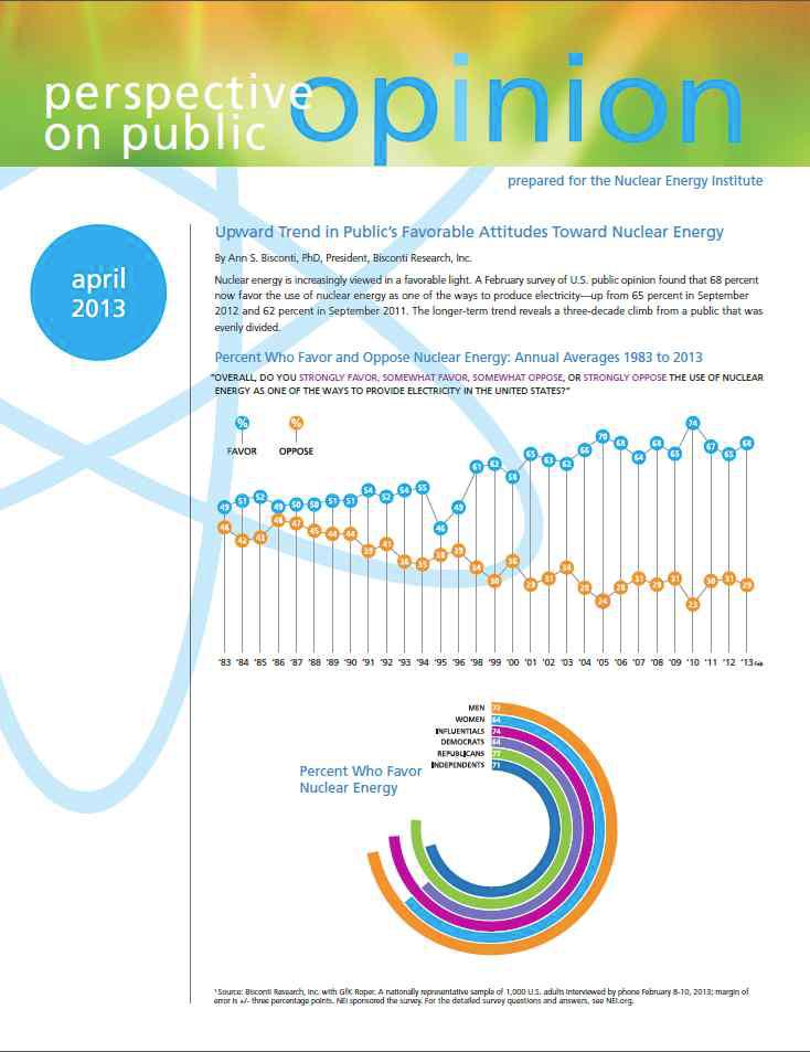 NEI 홈페이지에서 공개한 ‘Perspective in Public Opinion’