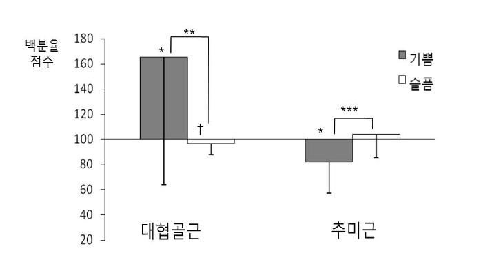 정 동영상에 따른 대협골근과 추미근 EMG