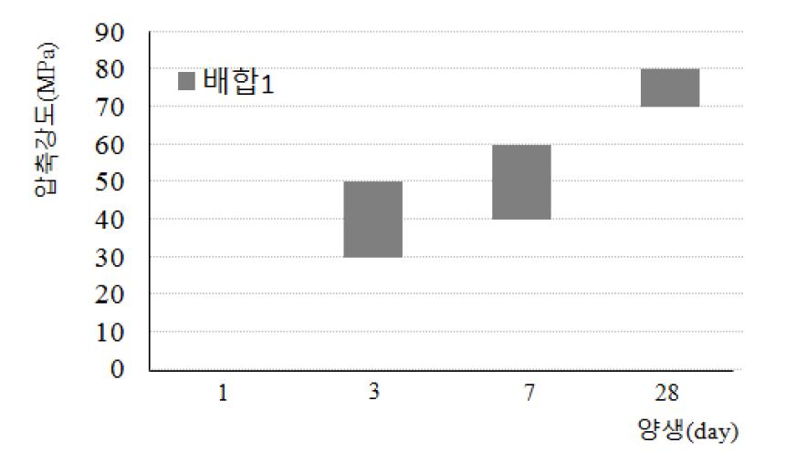 Case 1의 압축강도 시험결과