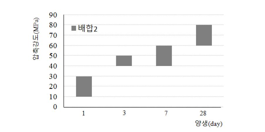 Case 2의 압축강도 시험결과