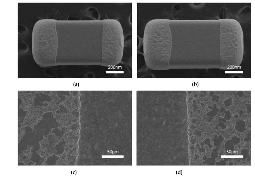 1005 MLCC의 외형 및 미세구조 (a) 1005 MLCC의 전체적인 모습, (b) 1005 MLCC의 전체적인 모습 (c) MLCC 좌측 전극 부근의 모습, 및 (d) MLCC 우측 전극 부근의 모습