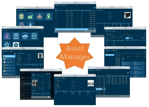 Asset Manger