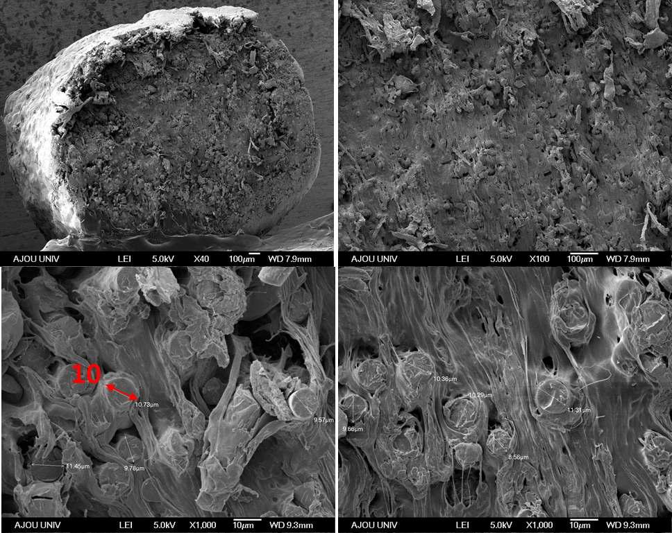 4 PES 수지의 SEM 측정 결과